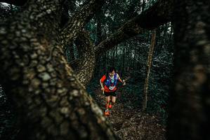 BIB: 
                            <button type="button" onclick="openModal(25680332)" class="btn btn-primary btn-sm float-right btn-popup" data-toggle="modal" data-target=".modal-high-quality">
                        <i class="fas fa-shopping-cart"></i> Add to Cart
                    </button>
                                            <button type="button" onclick="isThisMe(25680332, true)" class="btn btn-success btn-sm float-right btn-popup btn-isme hidden" data-toggle="tooltip" data-placement="bottom" title="นี่คือรูปของคุณใช่ไหม คลิกที่นี่เพื่อเอาเข้าอัลบั้ม">
                        <i class="fas fa-plus"></i> Add to album
                    </button>
                    <button type="button" onclick="isThisMe(25680332, false)" class="btn btn-warning btn-sm float-right btn-popup btn-isnotme hidden">
                        <i class="fas fa-ban"></i> Remove from album
                    </button>